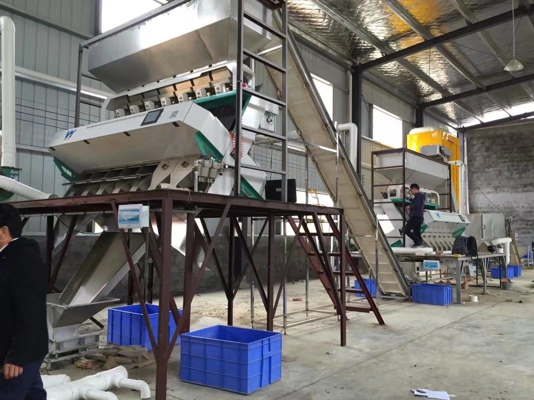 7T / H WENYAO Color Sorter كاميرات RGB المتقدمة مع 5400 بكسل