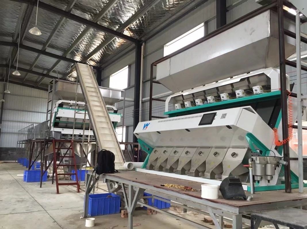 Dall Soybean Lentils Optical Rgb Camera Color Sorting Machine 5000kg / H الإنتاجية
