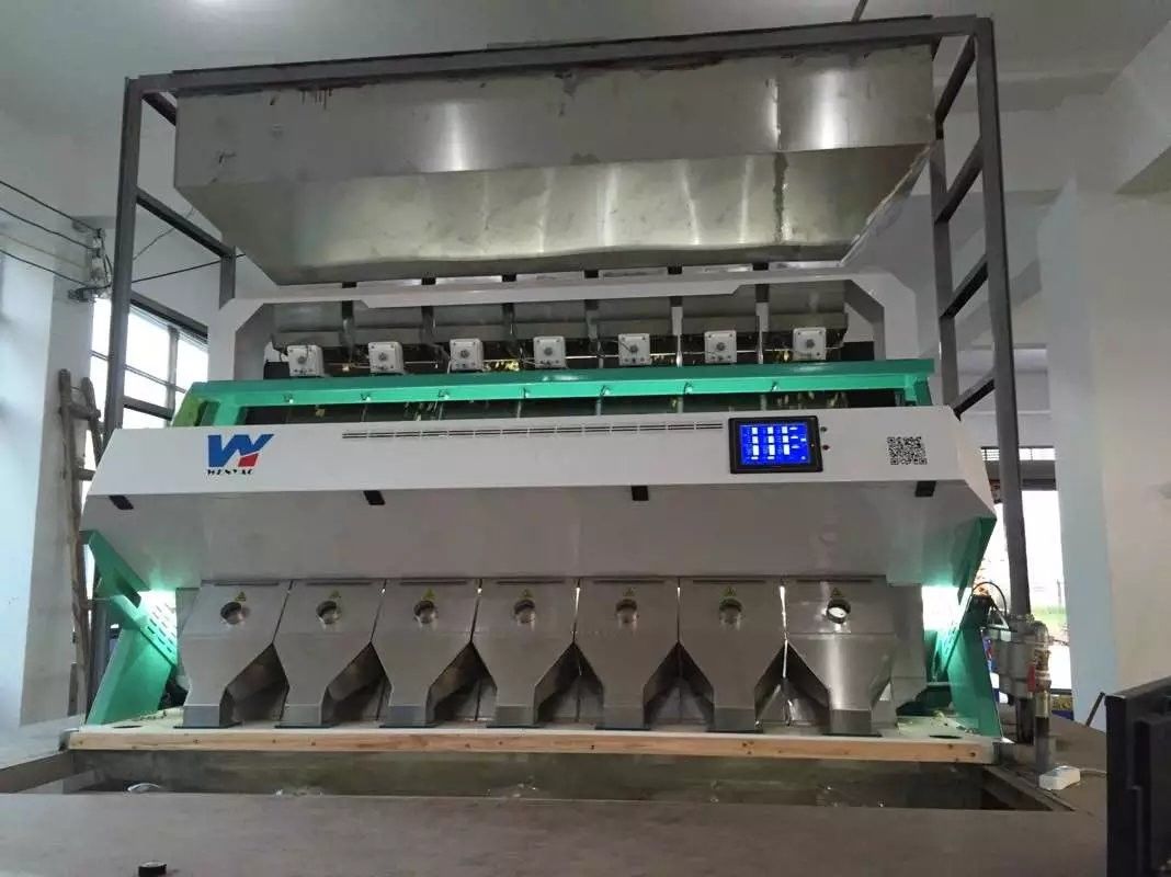 آلة فرز بذور الكزبرة بالألوان TAIWAN Meanwell Power مع ضمان لمدة عامين
