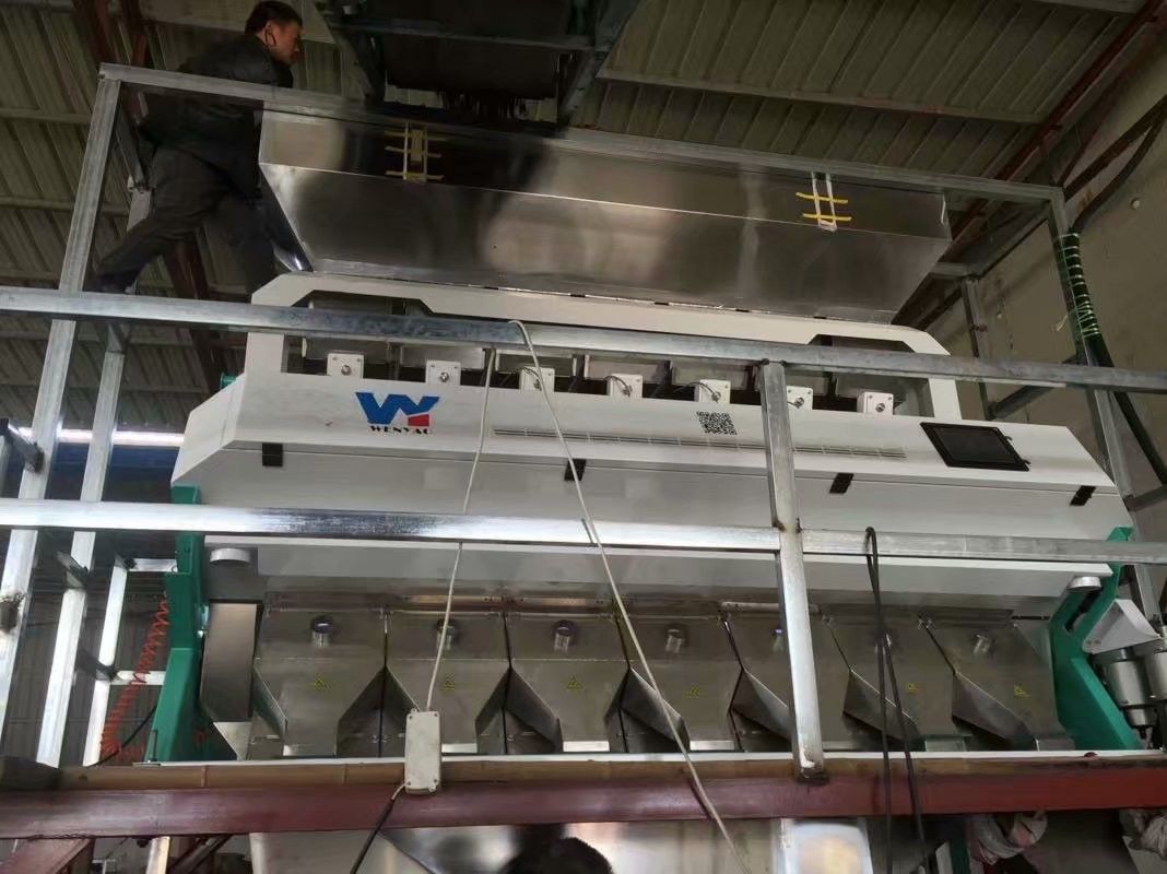 آلة فرز بذور الكزبرة بالألوان TAIWAN Meanwell Power مع ضمان لمدة عامين
