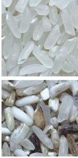 سهلة التشغيل آلة تصنيف لون القهوة مع الصلبة 304 الدرجة الغذائية هوبر