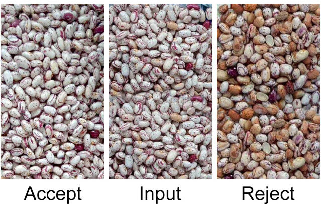 فارز اللون التلقائي CCD RGB Bean
