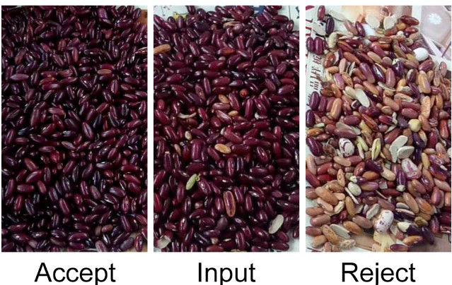 فارز اللون التلقائي CCD RGB Bean