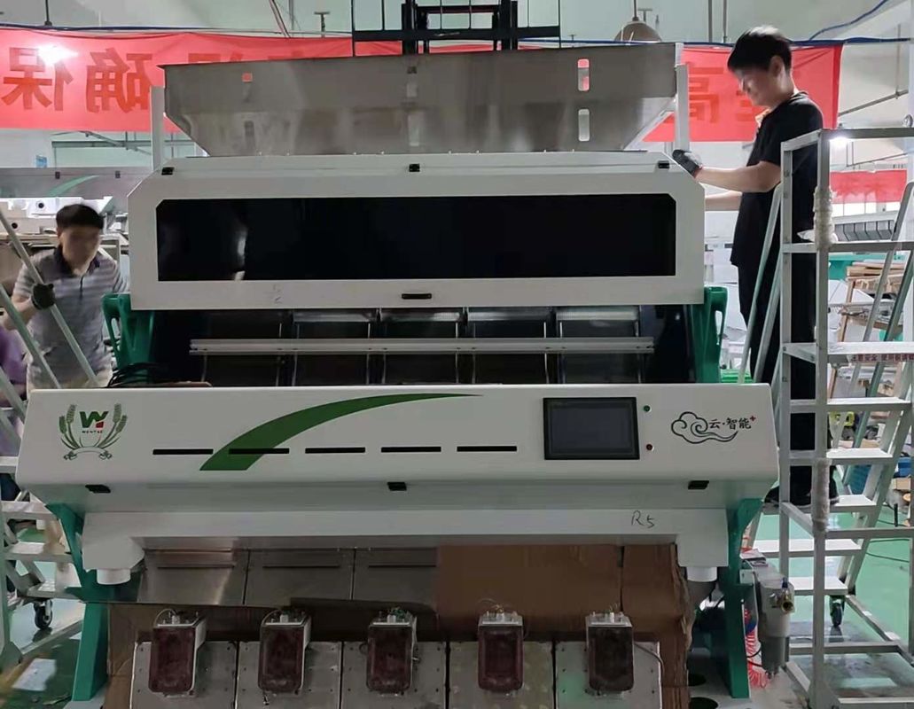 Dall Soybean Lentils Optical Rgb Camera Color Sorting Machine 5000kg / H الإنتاجية