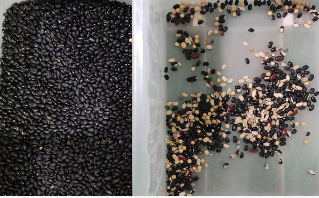 6 مزالق متعددة الوظائف Wenyao Color Sorter مع NIR كاميرا الحماية من الصدأ
