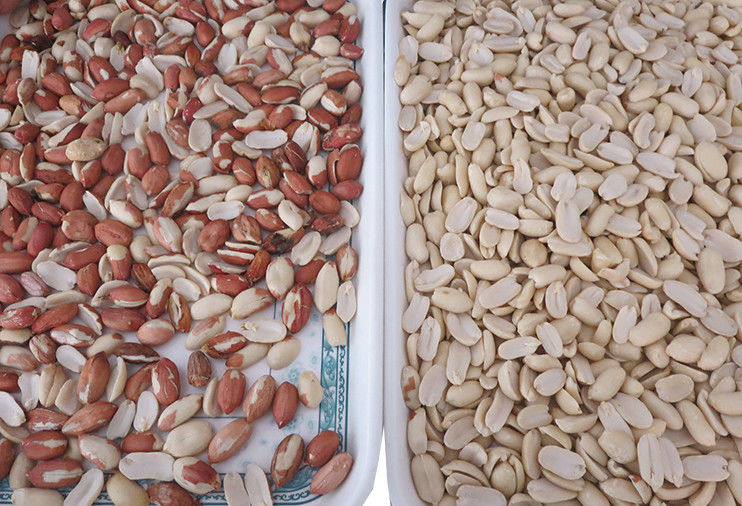 WENYAO CCD Camera Enabled High-Speed Sorting for Peanut Production Optical Sorter