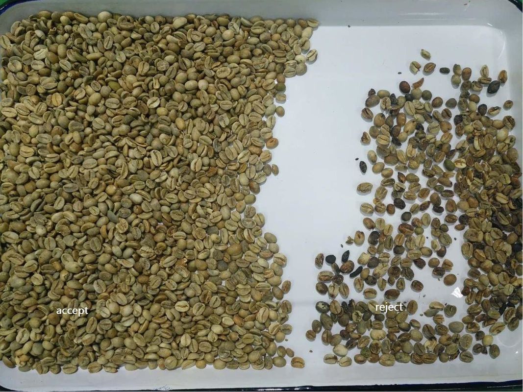 مستشعر CCD 192 قناة ، فاصل ألوان حبوب البن ، فاصل ألوان الكاكاو