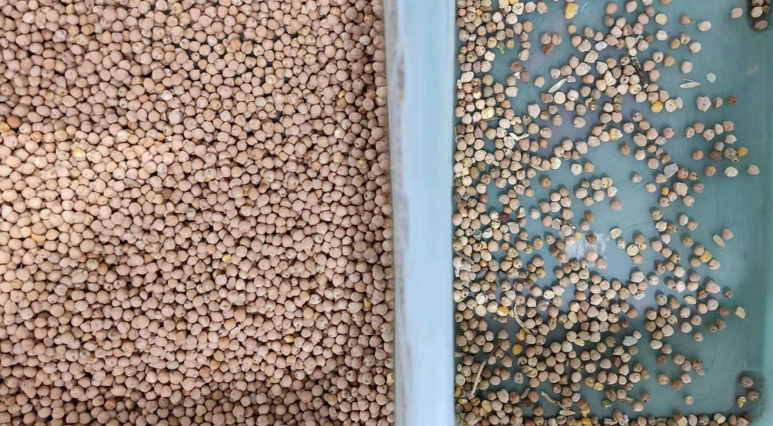 فارز ألوان 800 كجم / ساعة مع كاميرا CCD عالية الدقة 5400 بكسل