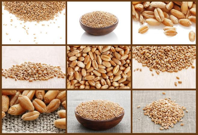أبيض السمسم الشعير بذور البطيخ الأرز اللون فارز متعدد الوظائف