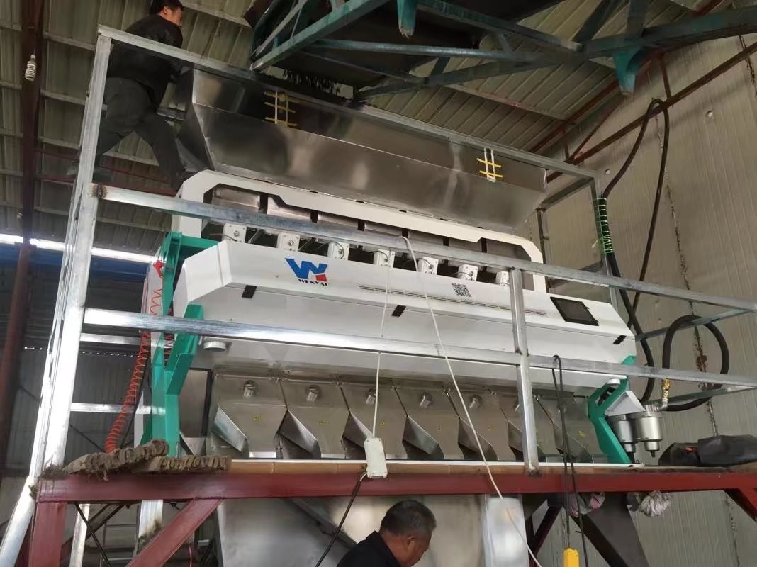 كاميرا CCD البصرية الذكية PET PVC HDPE آلة فرز الألوان البلاستيكية