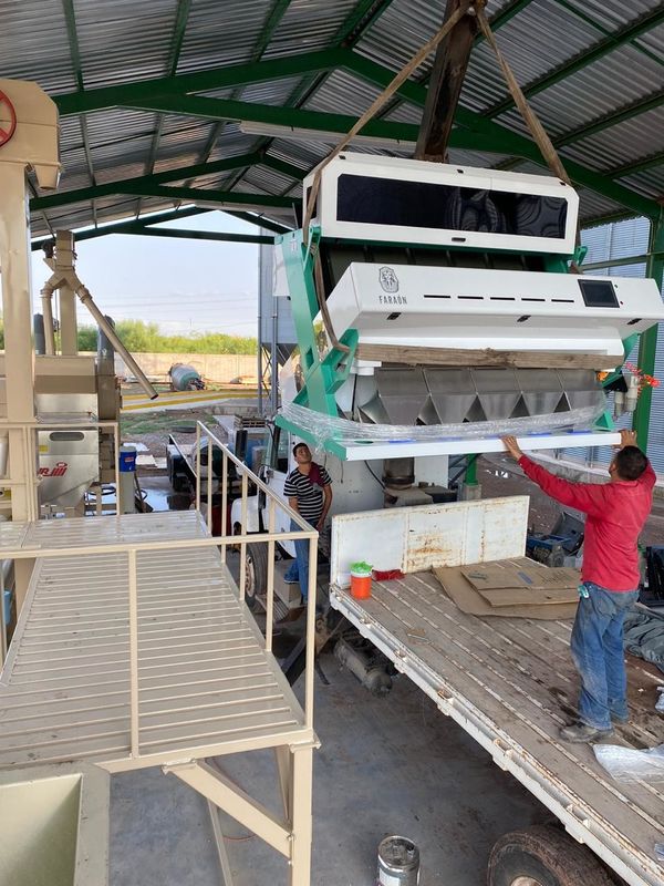 فارز لون بذور ثمر الورد بيري الخردل بخمسة مزالق