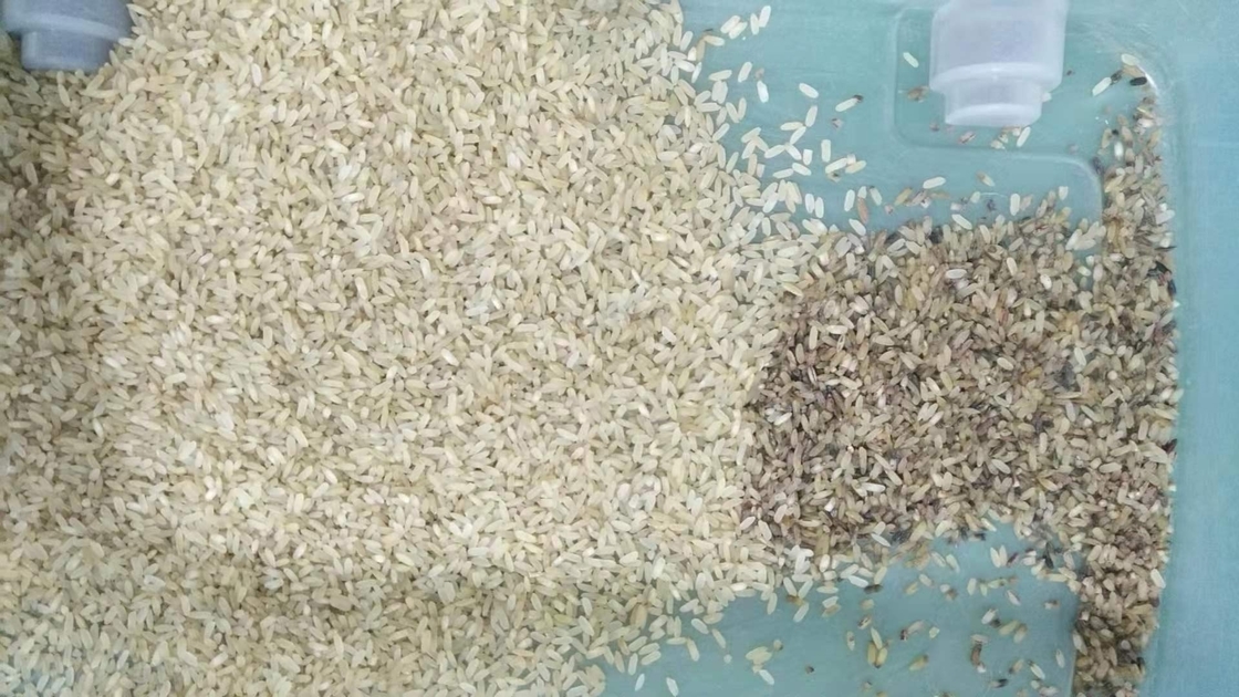 عالية الدقة التلقائي لون بصري فارز آلة الأرز فاصل لون الأرز