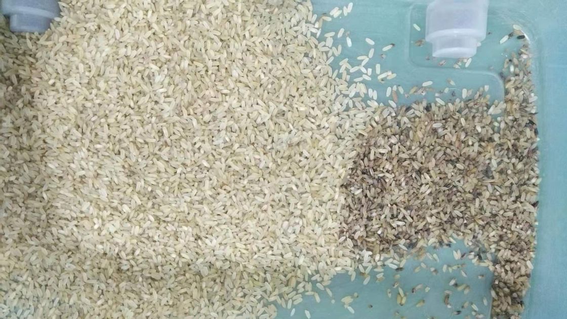 آلة فرز ألوان الأرز البني المصغرة CCD 32 قناة