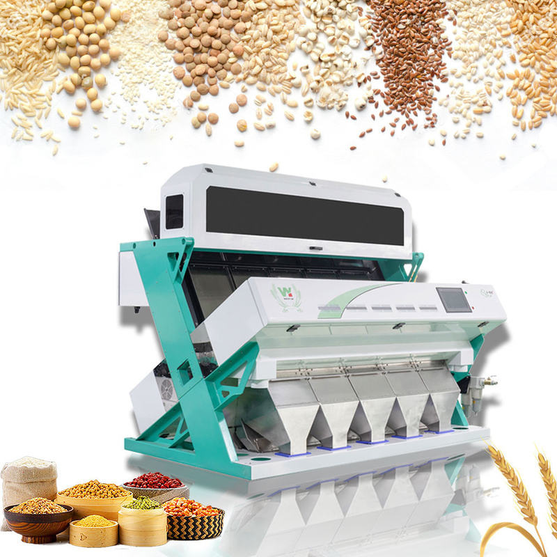 أعلى أداء CCD Japonica رايس لون فارز آلة شعبية في الهند