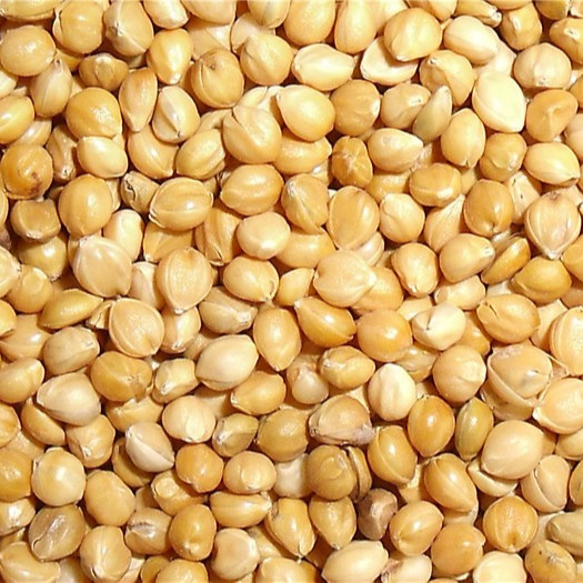 آلة فارز الألوان الصغيرة ذات السعة العالية CCD لمصنع مطحنة الأرز