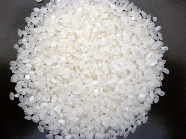 أعلى أداء CCD Japonica رايس لون فارز آلة شعبية في الهند