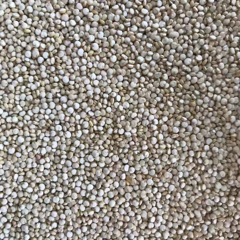 آلة فارز لون قمح الكينوا الصغيرة LED CCD 1 شلال