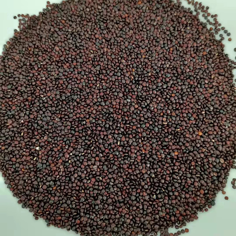 آلة فارز لون قمح الكينوا الصغيرة LED CCD 1 شلال