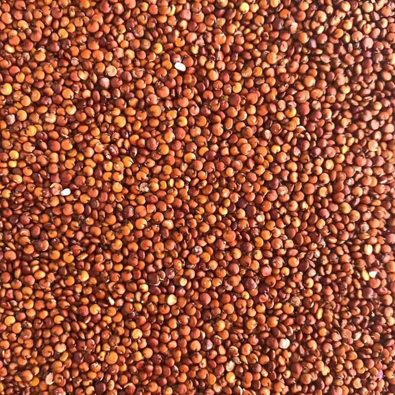 آلة فارز لون قمح الكينوا الصغيرة LED CCD 1 شلال
