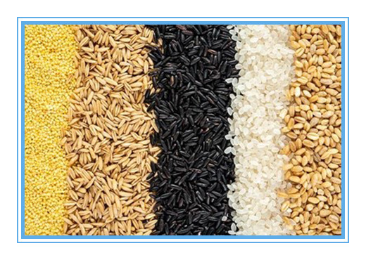 مصغرة CCD لون الحبوب فارز آلة السعر لمصنع الغذاء