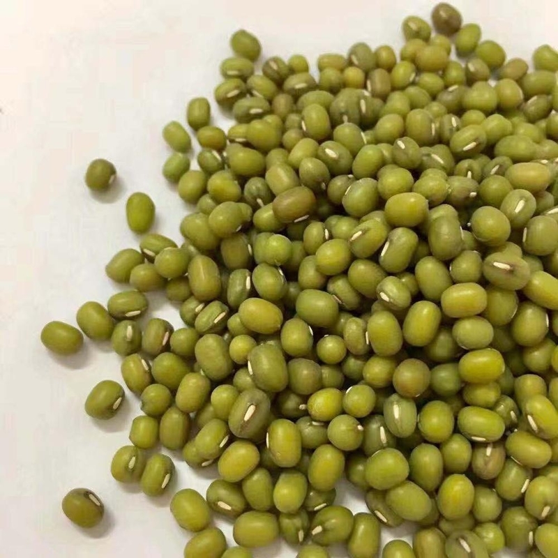 عالية الكفاءة وعالية السعة CCD البصرية مونج الفول اللون آلة الفرز