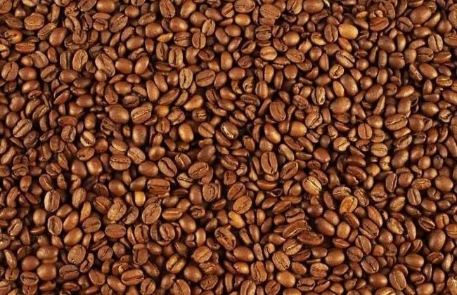 ضمان سنتان بجودة عالية CCD آلة فارز ألوان حبوب البن الأوتوماتيكية بالكامل