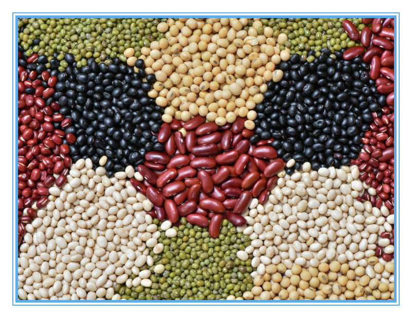 CCD Camera Sunflower Kernel 2t / H Color Sorter Machine 256 Channels