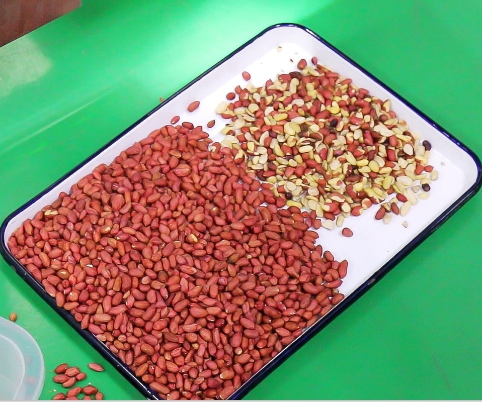 فارز ملون ذكي 1 مزلق صغير للأرز المسلوق