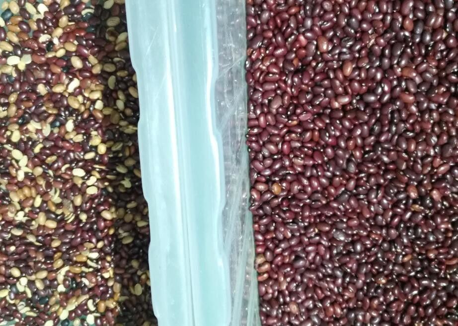 فارز اللون الأحمر والفاصوليا الخضراء والهيل متعدد الوظائف 3t / H الإنتاجية