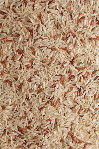 WENYao 4 Chutes 256 Channels سعر المصنع آلة فرز لون الأرز البني