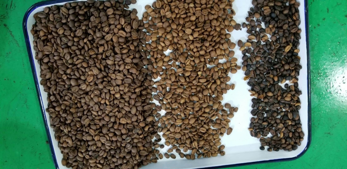 RGB Camera CCD Beans Color Sorter 10 Chutes 640 Channels