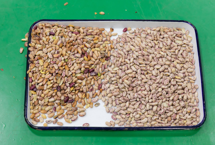 فارز لون فول الصويا ارتفاع الناتج عن أرز حبوب الأرز والمكسرات