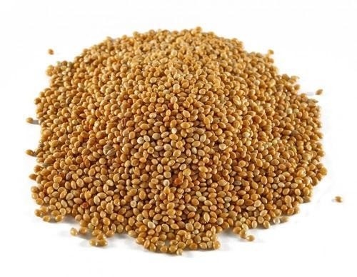 Wenyao 4 Chutes سعر المصنع براون رايس لون الفرز آلة الأرز الدرجات