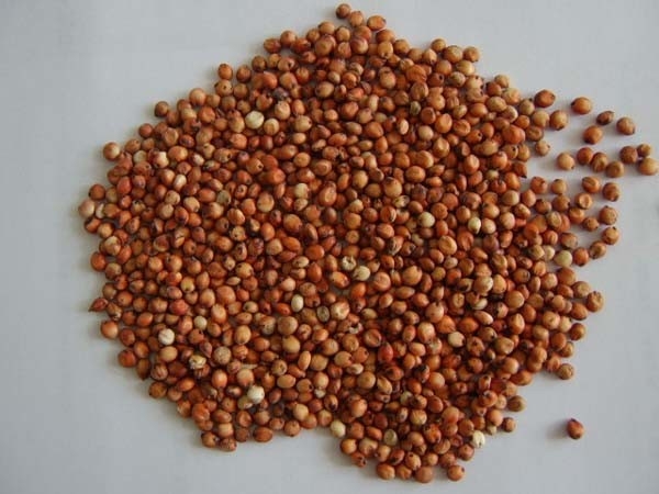 Wenyao 4 Chutes سعر المصنع براون رايس لون الفرز آلة الأرز الدرجات