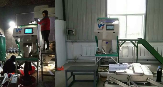 220 فولت / 50 هرتز وينياو آلة تصنيف الألوان لكرز حبوب القهوة 11