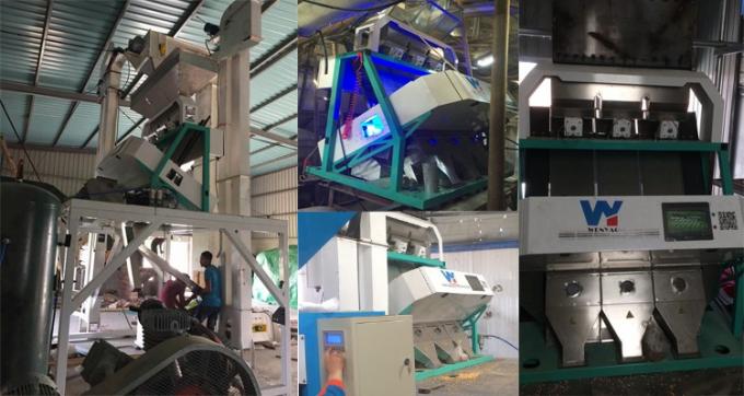 220 فولت / 50 هرتز وينياو آلة تصنيف الألوان لكرز حبوب القهوة 12