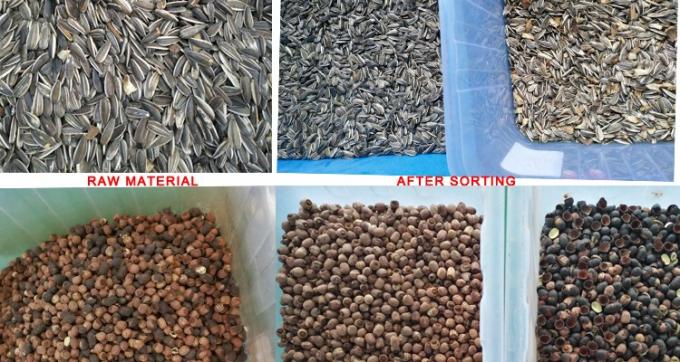 220 فولت / 50 هرتز وينياو آلة تصنيف الألوان لكرز حبوب القهوة 5