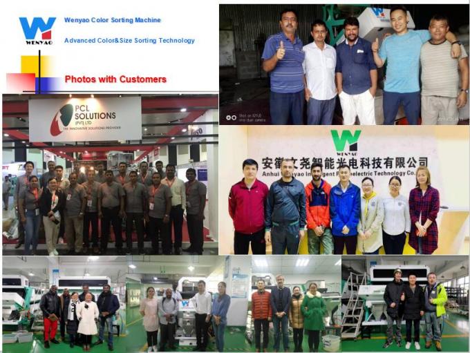 كاميرا CCD البصرية الذكية PET PVC HDPE آلة فرز الألوان البلاستيكية 12