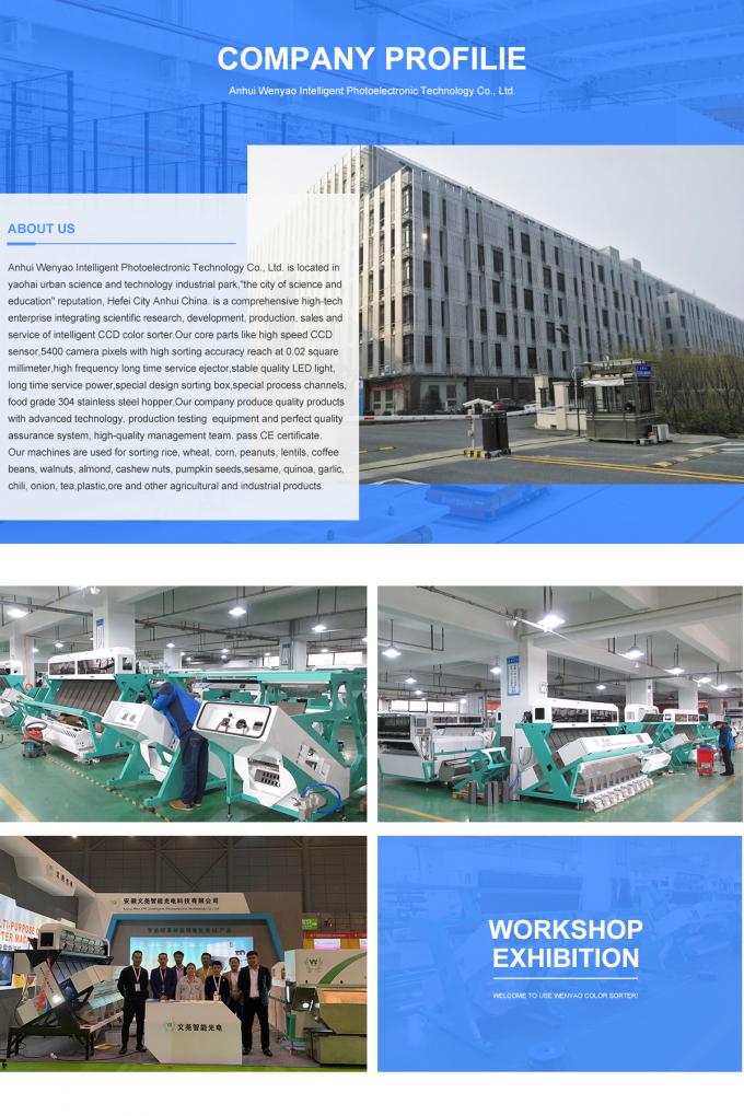 آلة تصنيف لون الخوخ الذكية الكرنب الكوب كيوتشا البصل المقلي الخضروات الفواكه للعمل الزراعي 25