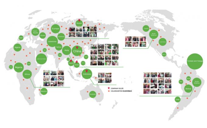 كاميرا CCD البصرية الذكية PET PVC HDPE آلة فرز الألوان البلاستيكية 19