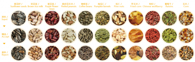 آلة تصنيف لون الخوخ الذكية الكرنب الكوب كيوتشا البصل المقلي الخضروات الفواكه للعمل الزراعي 4