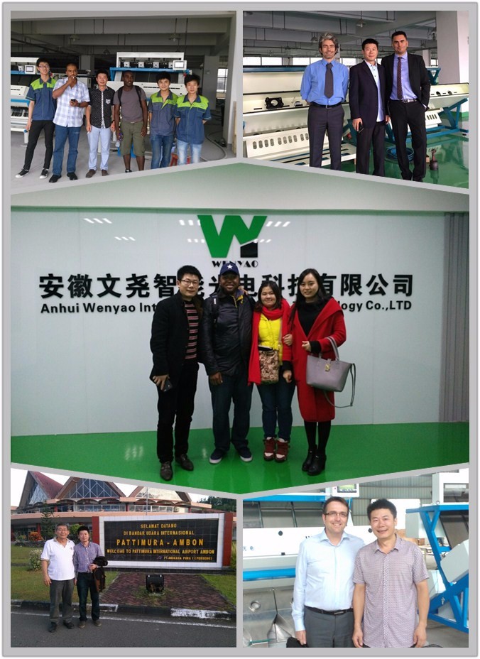 10 آلة تصنيف الألوان من الزجاج الأبيض الزرقاء البنية للصناعة مع جهاز تحكم عن بعد WiFi 9