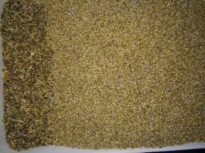 جهاز تصنيف لون البذور الضوئية الصغيرة مع آلة تنظيف البذور ذات الأداء الجيد 3