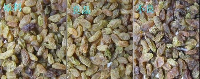 320 قناة نظرية CCD تصنيف الألوان آلة تصنيف الألوان الزبيب مع شهادة CE 4