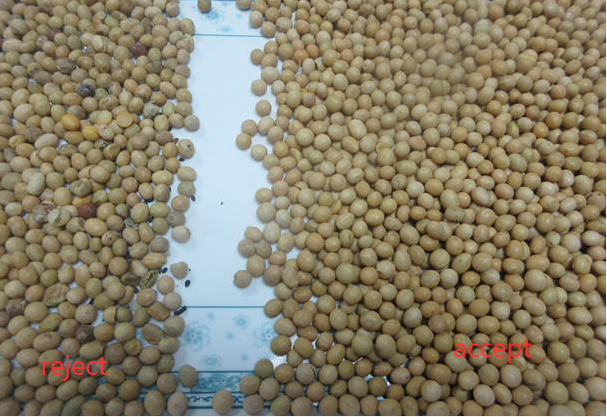 جهاز فصل الألوان الذكي كاميرا CCD الحبوب الأرز فول الصويا فئة الألوان للزراعة 4