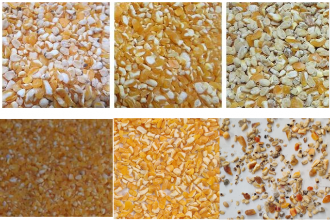 كاميرا CCD منخفضة التكلفة مصفف لون الذرة والقمح وآلة فرز الأرز للزراعة 3