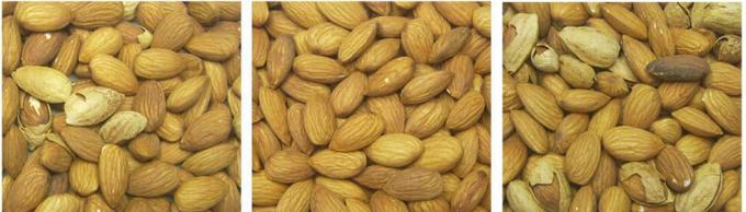 تعلم الذكاء الاصطناعي أسلوب الحزام الذكية فستق الفستق المكسرات آلة فرز الألوان 13