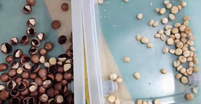 تعلم الذكاء الاصطناعي أسلوب الحزام الذكية فستق الفستق المكسرات آلة فرز الألوان 14