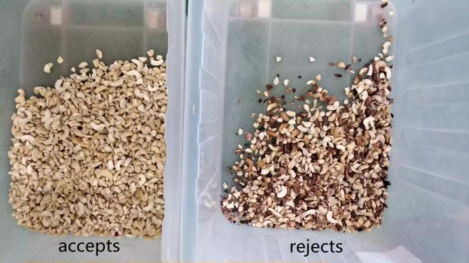 آلة تصنيف لون جوز الكاشيو ذكي 6 شوت مع مستشعر Toshiba CCD وكاميرا RGB 6