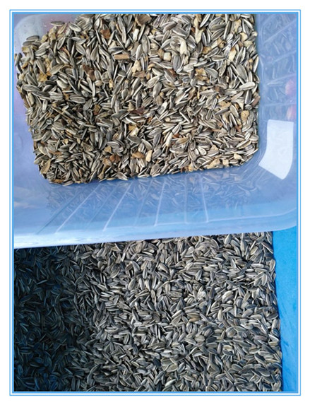 (ويانيو) أحدث أجهزة تصنيف الألوان 10